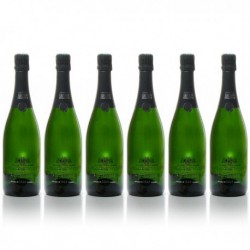 Carton 6 Bouteilles Champagne Xavier Loriot Aoc Champagne Brut 6x75cl