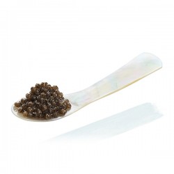 Cuillère en Nacre pour Caviar