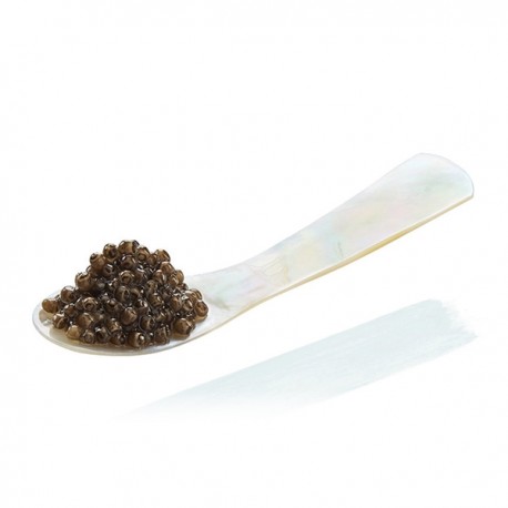 Cuillère en Nacre pour Caviar