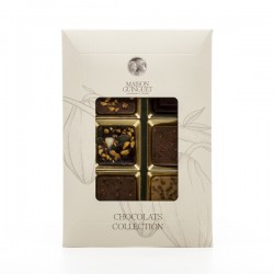 Réglette Assortiment de 6 Chocolats Maison Guinguet Artisan Chocolatier 46g