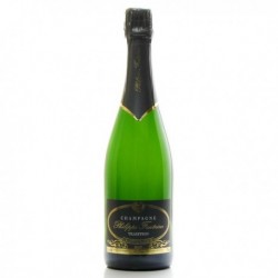 Champagne Philippe Fontaine AOC Champagne Brut 75cl