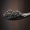 Caviars